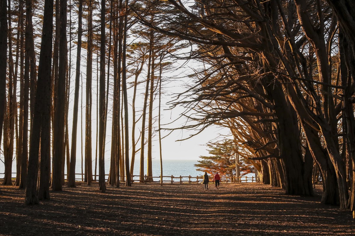 Moss Beach Creek