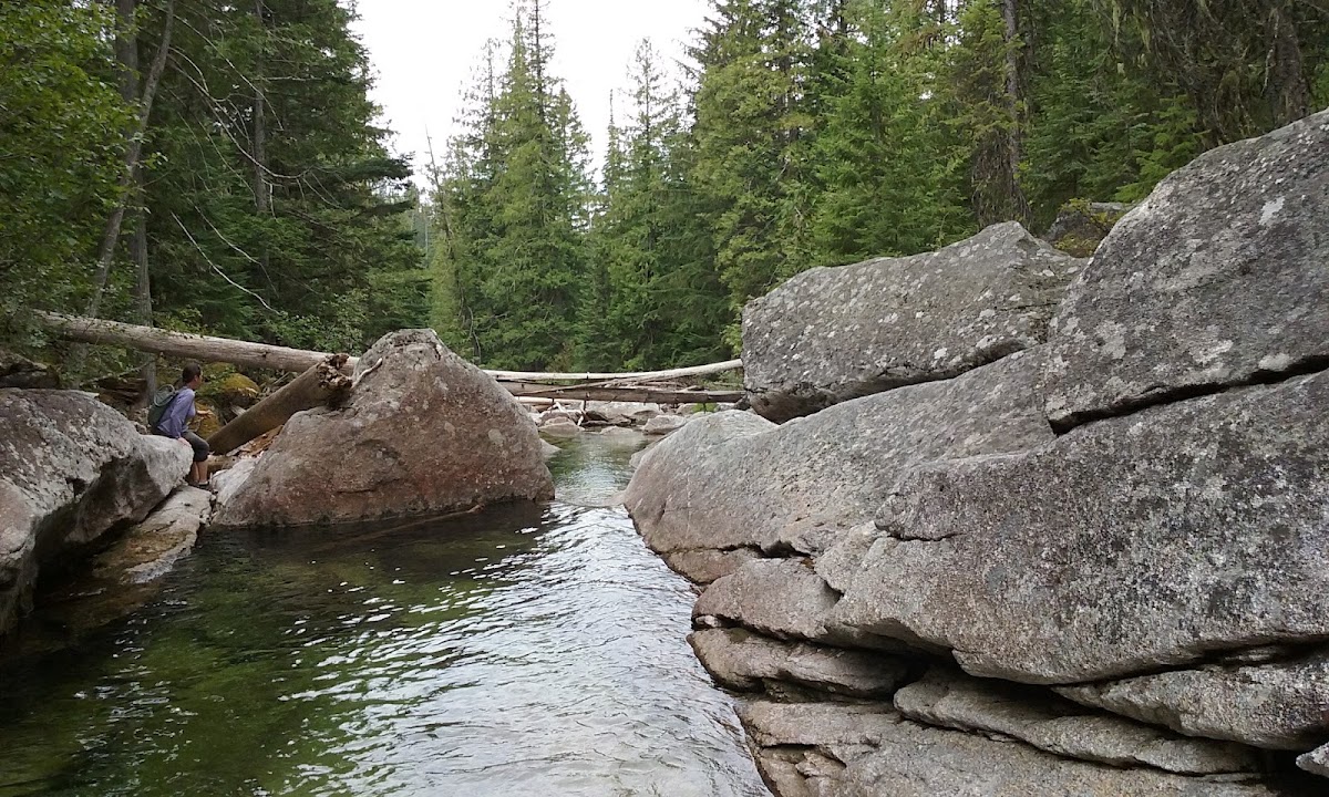 Lion Creek