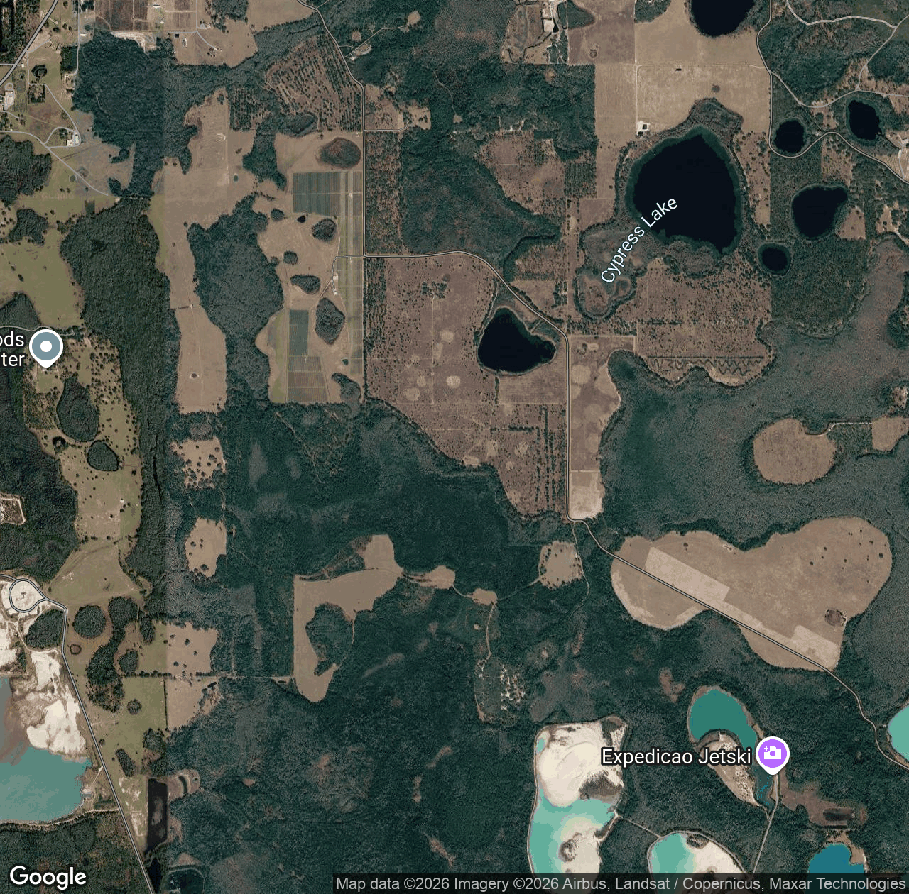 Little Creek Swamp