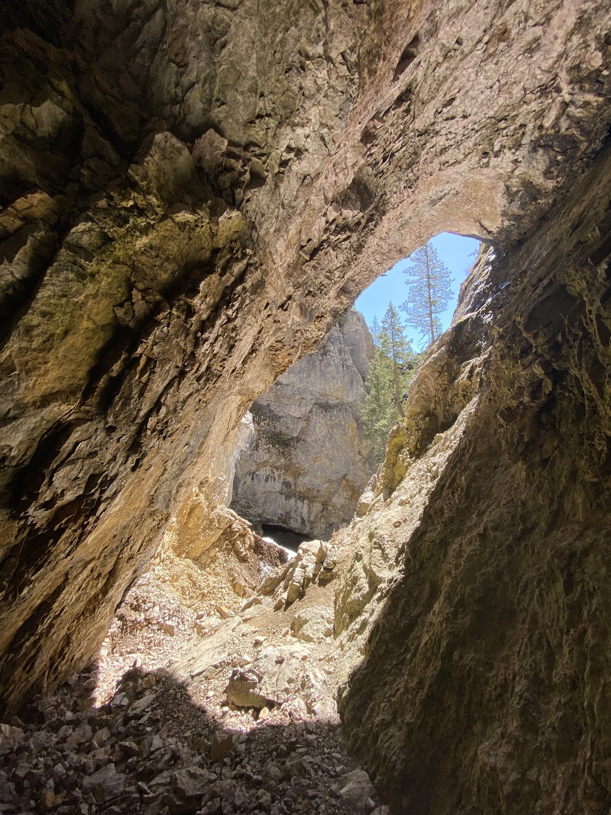 East Fork Mill Creek Trail