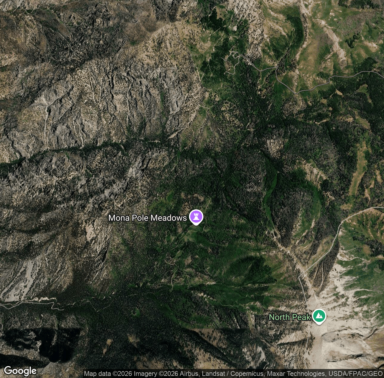 Forest Road 600