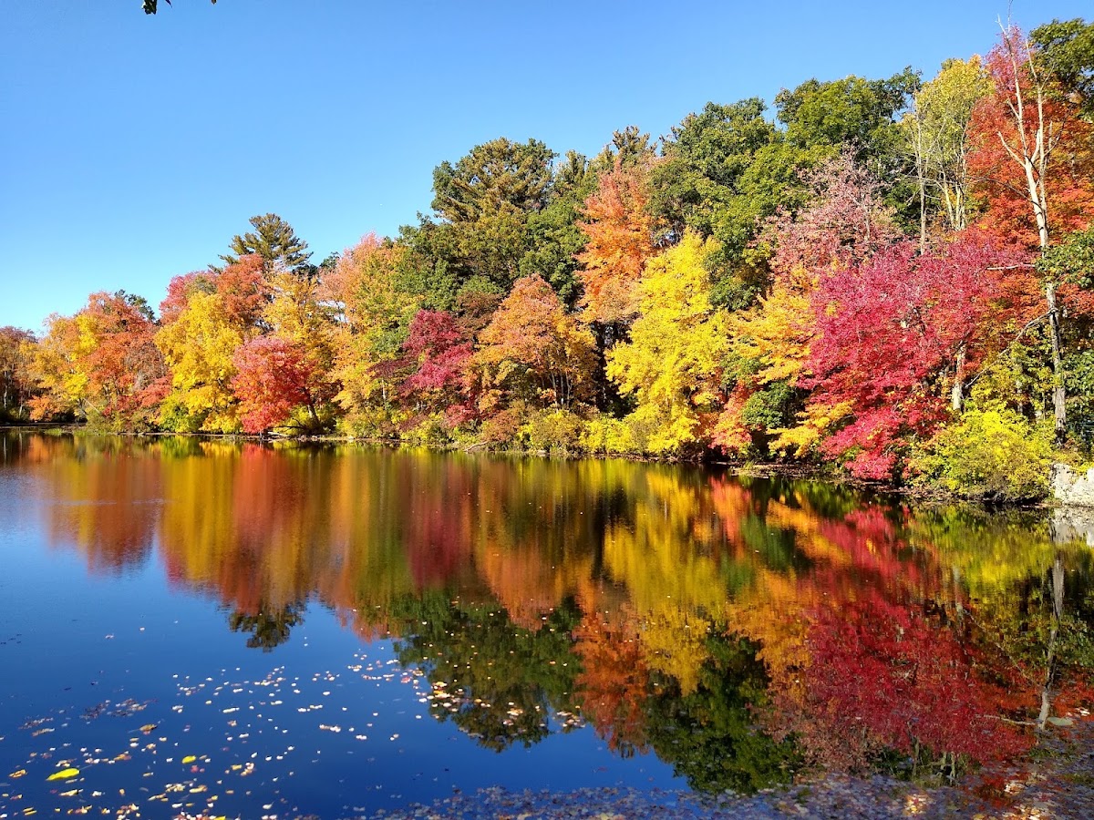 White Mill Park