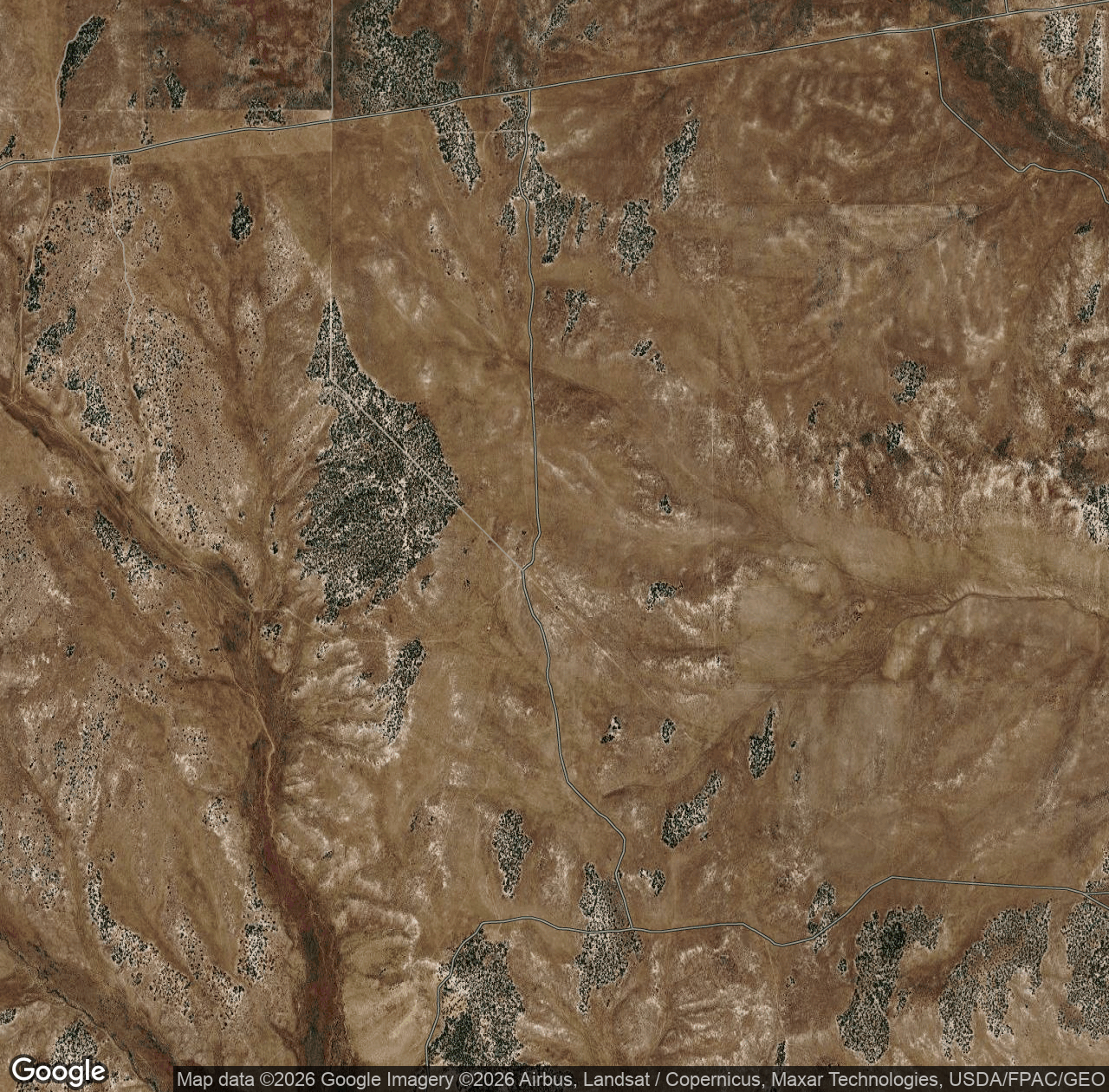 BLM Fire Road