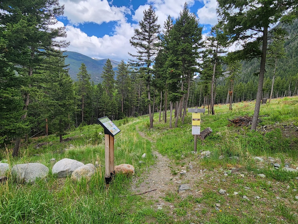 Great Falls Creek Trail