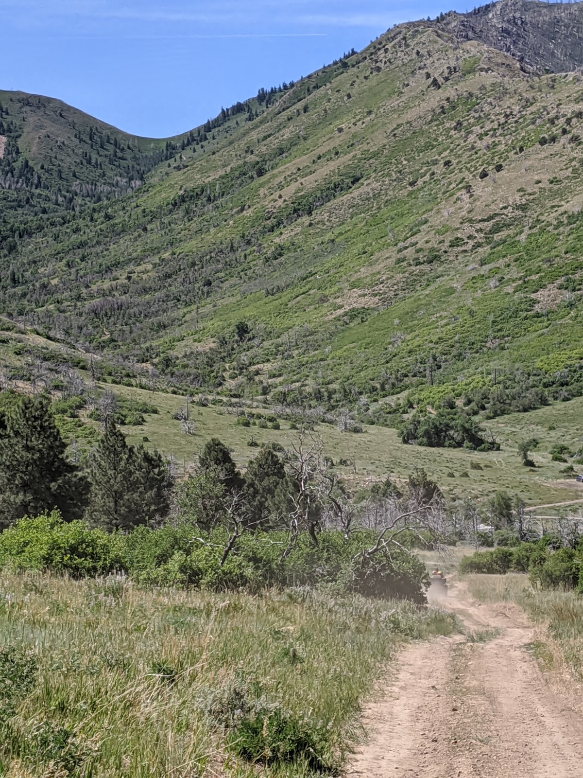 Oak Creek Canyon Road