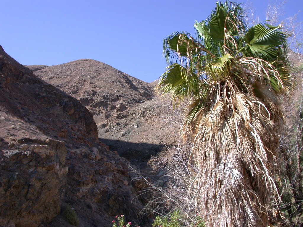 Wildrose Canyon North Spurs