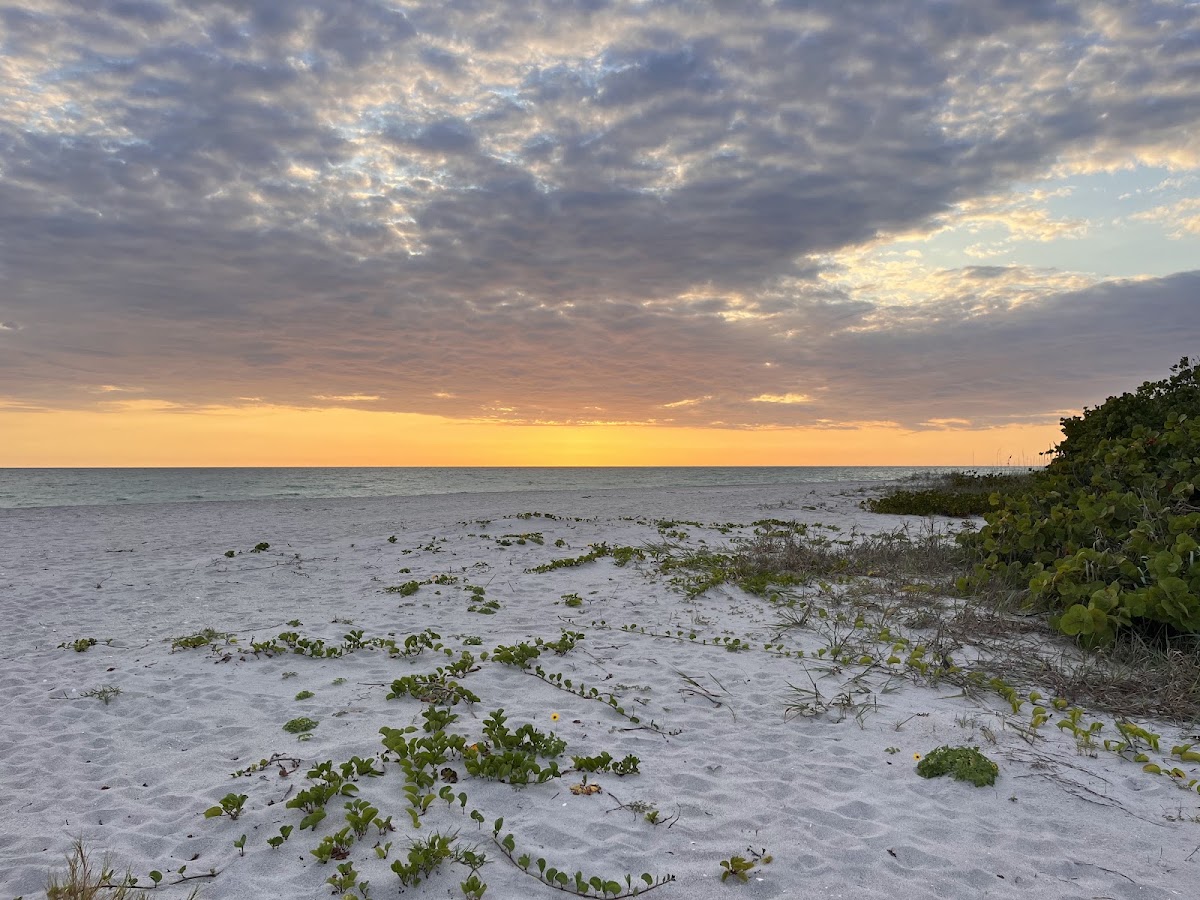 Stump Pass Beach State Park