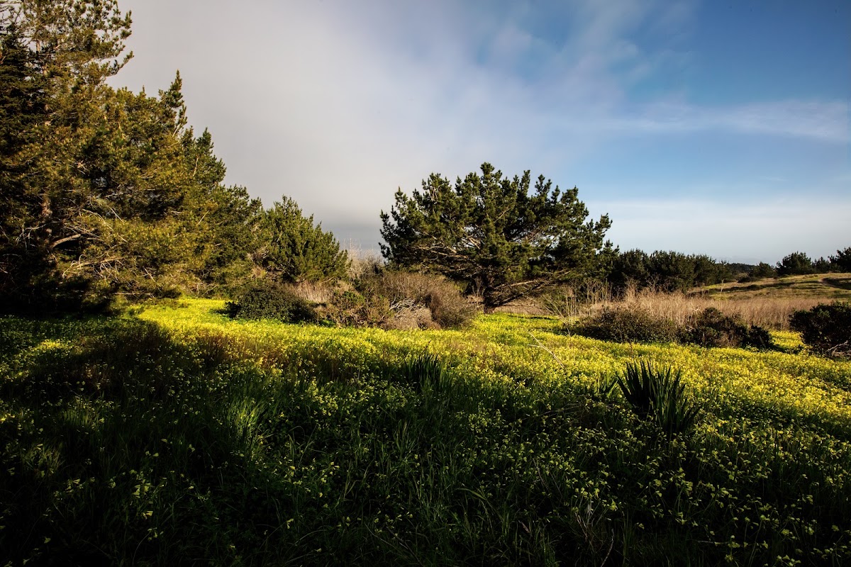 San Vicente Trail
