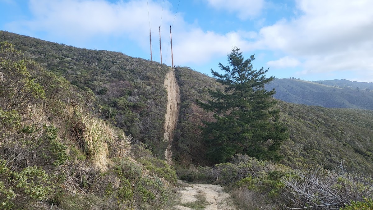 Scarpers Trail