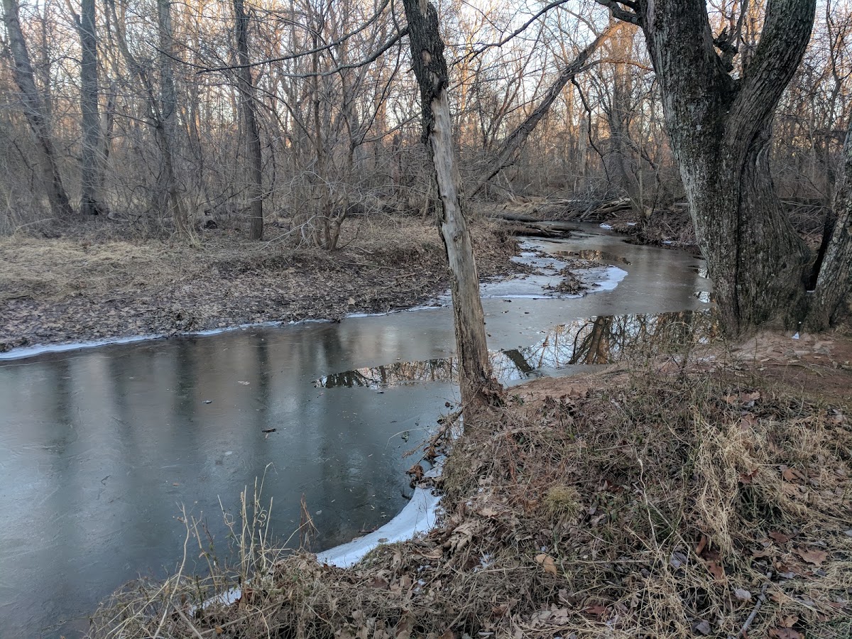 Horsepen Run Stream Valley Park