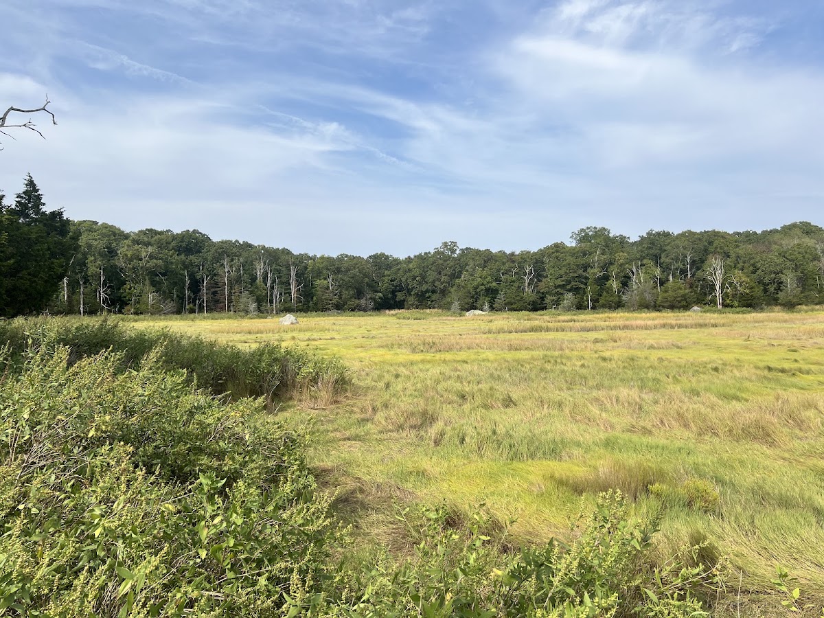 Touisset Marsh