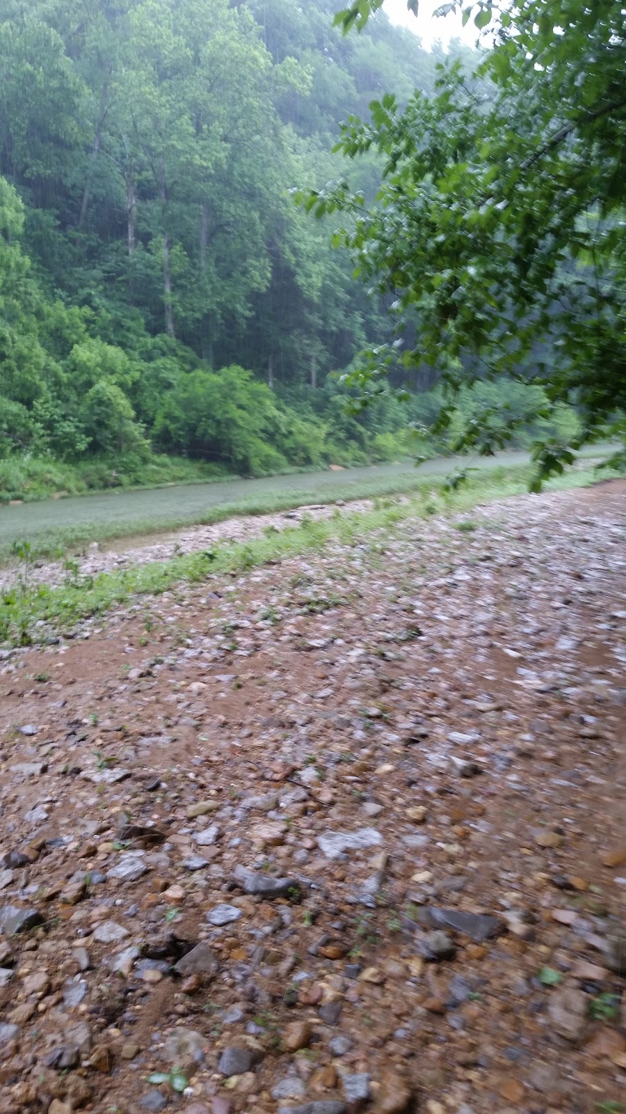 Little Barren River