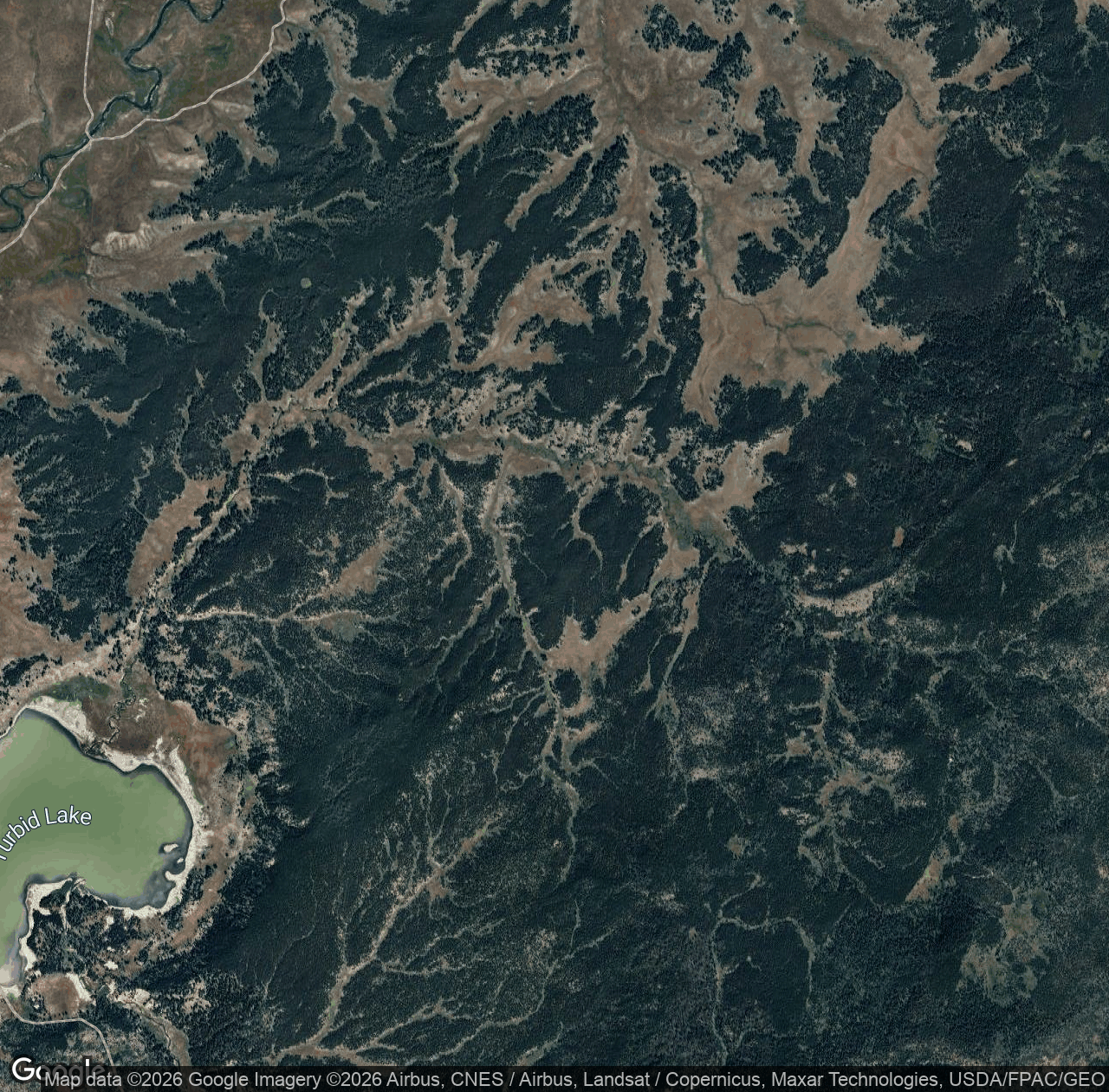 Sedge Creek