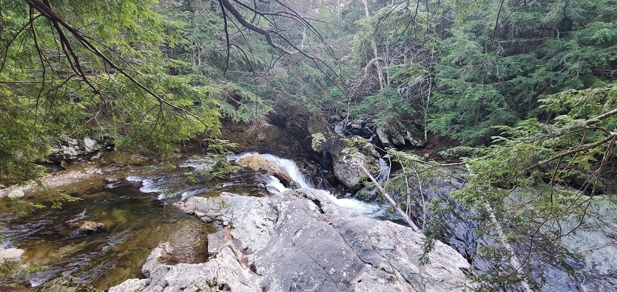 Brewster River