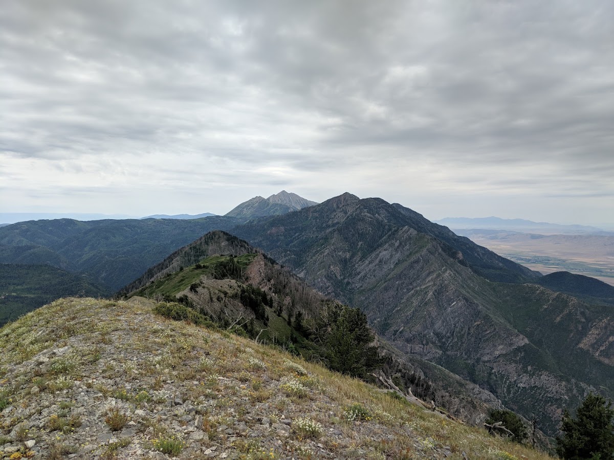 Dry Mountain Trail