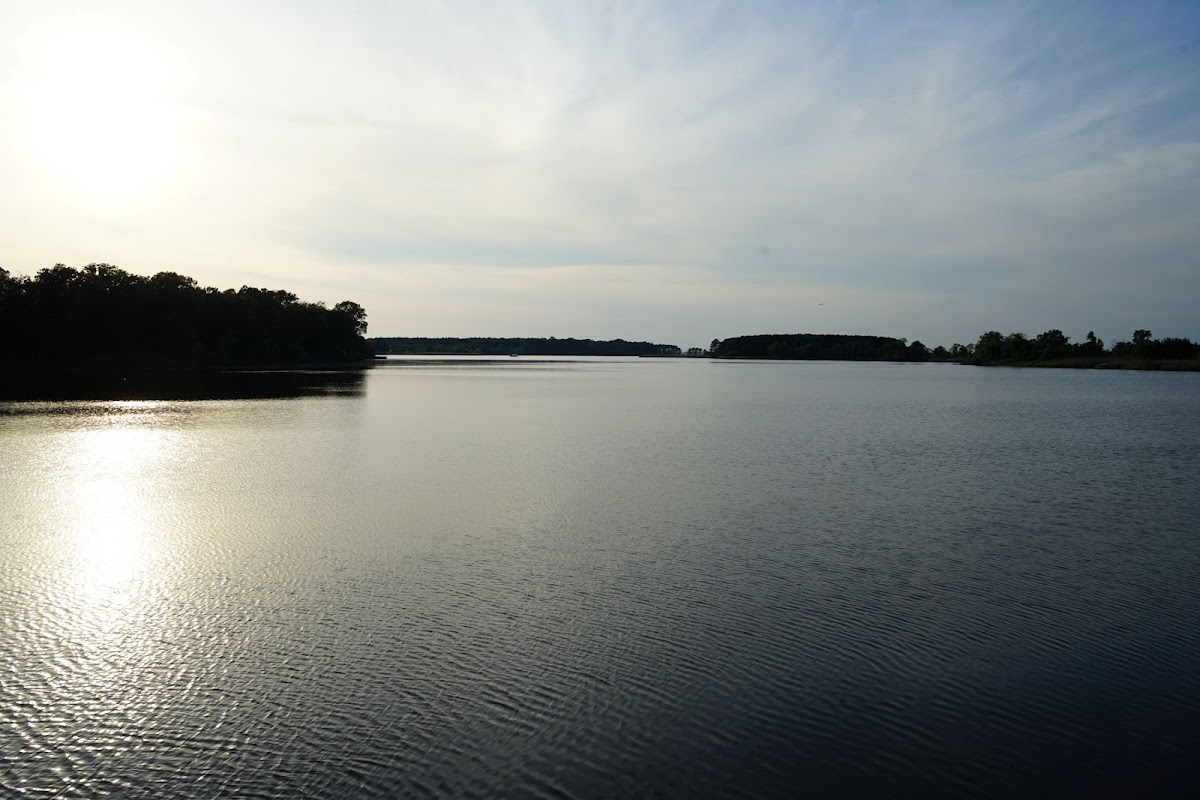Reed Creek