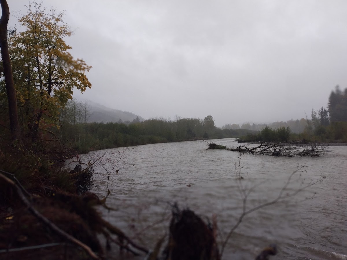 Bogachiel River