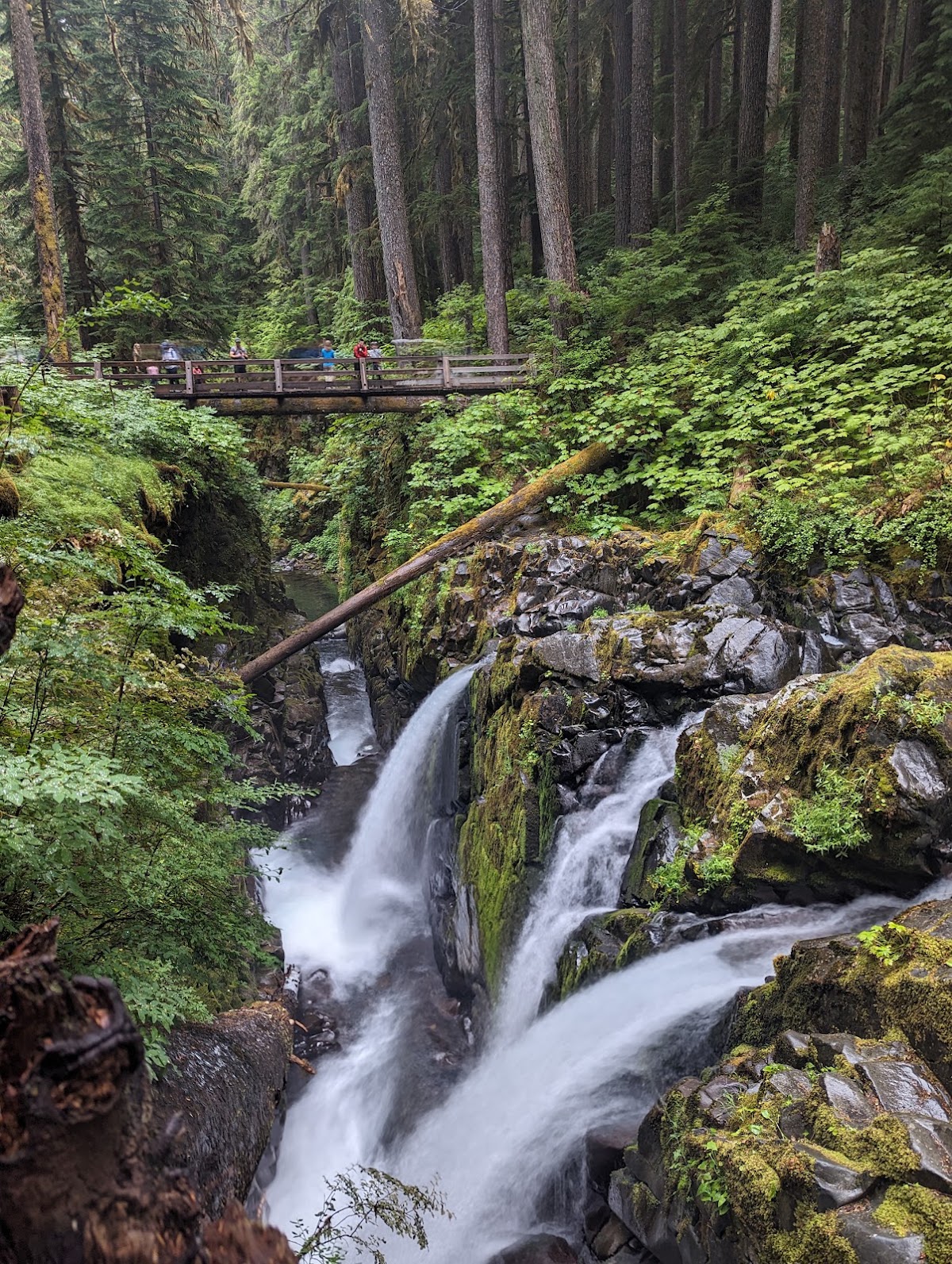 Sol Duc River