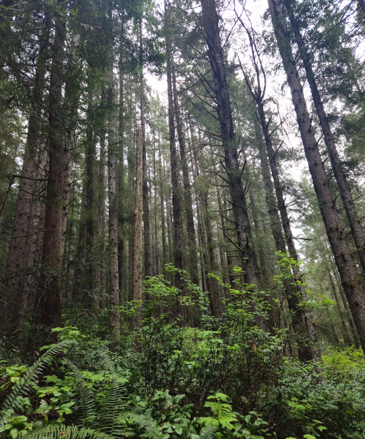 Ossagon Trail