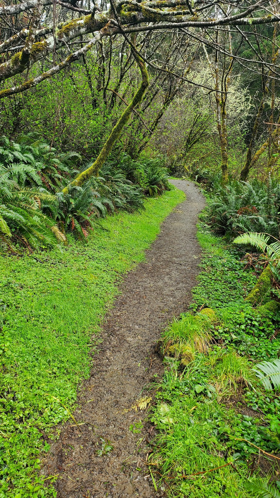 Mill Creek Horse Trail