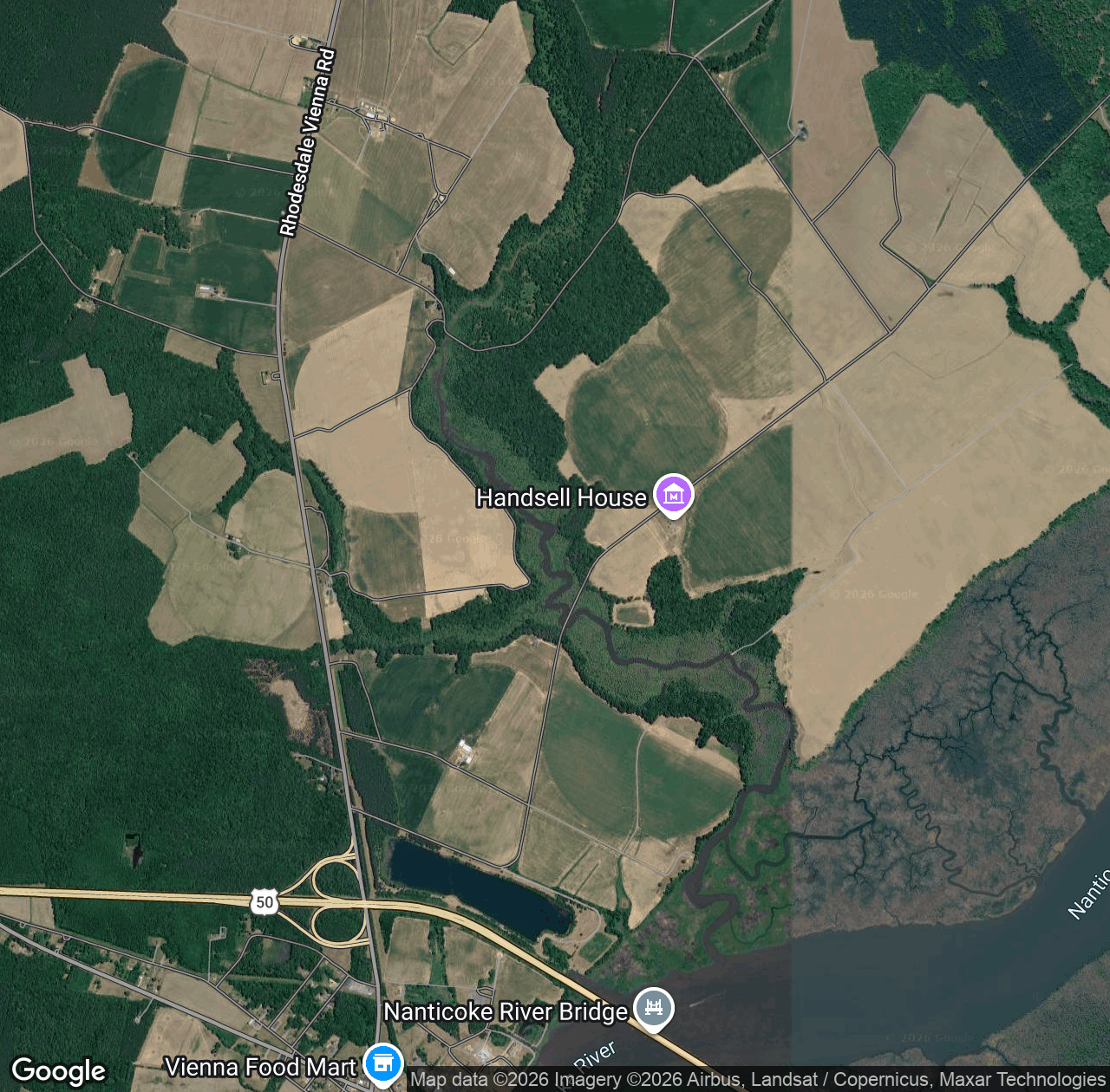 Chicone Creek