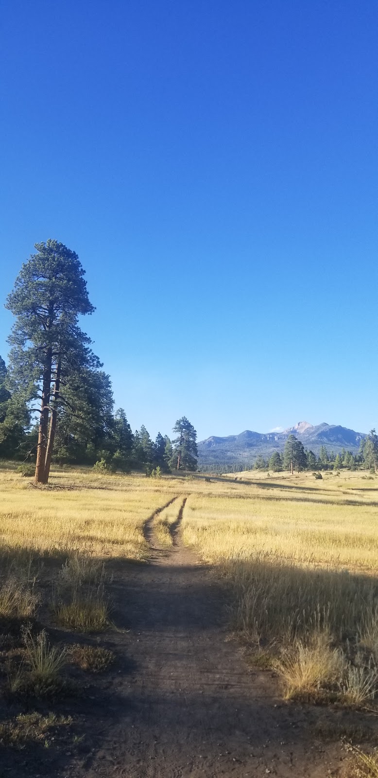 Turkey Creek Trail