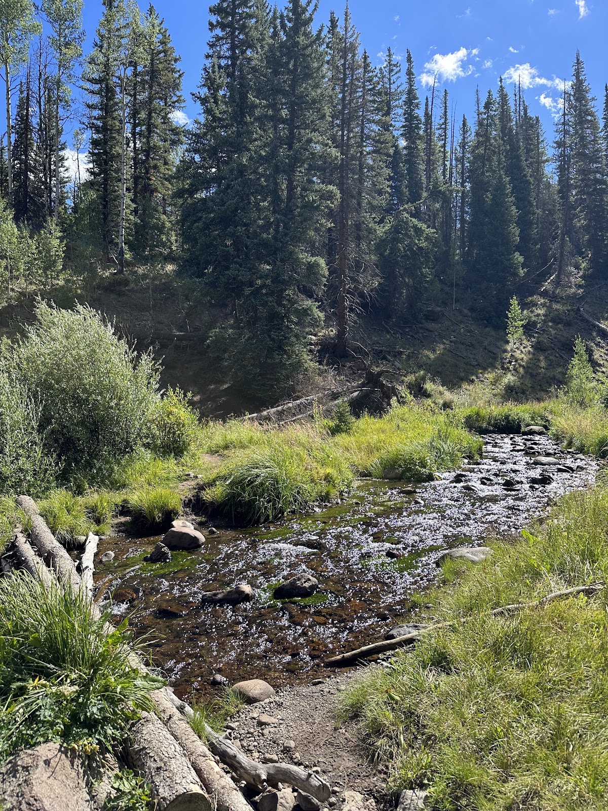 Ivy Creek Trail