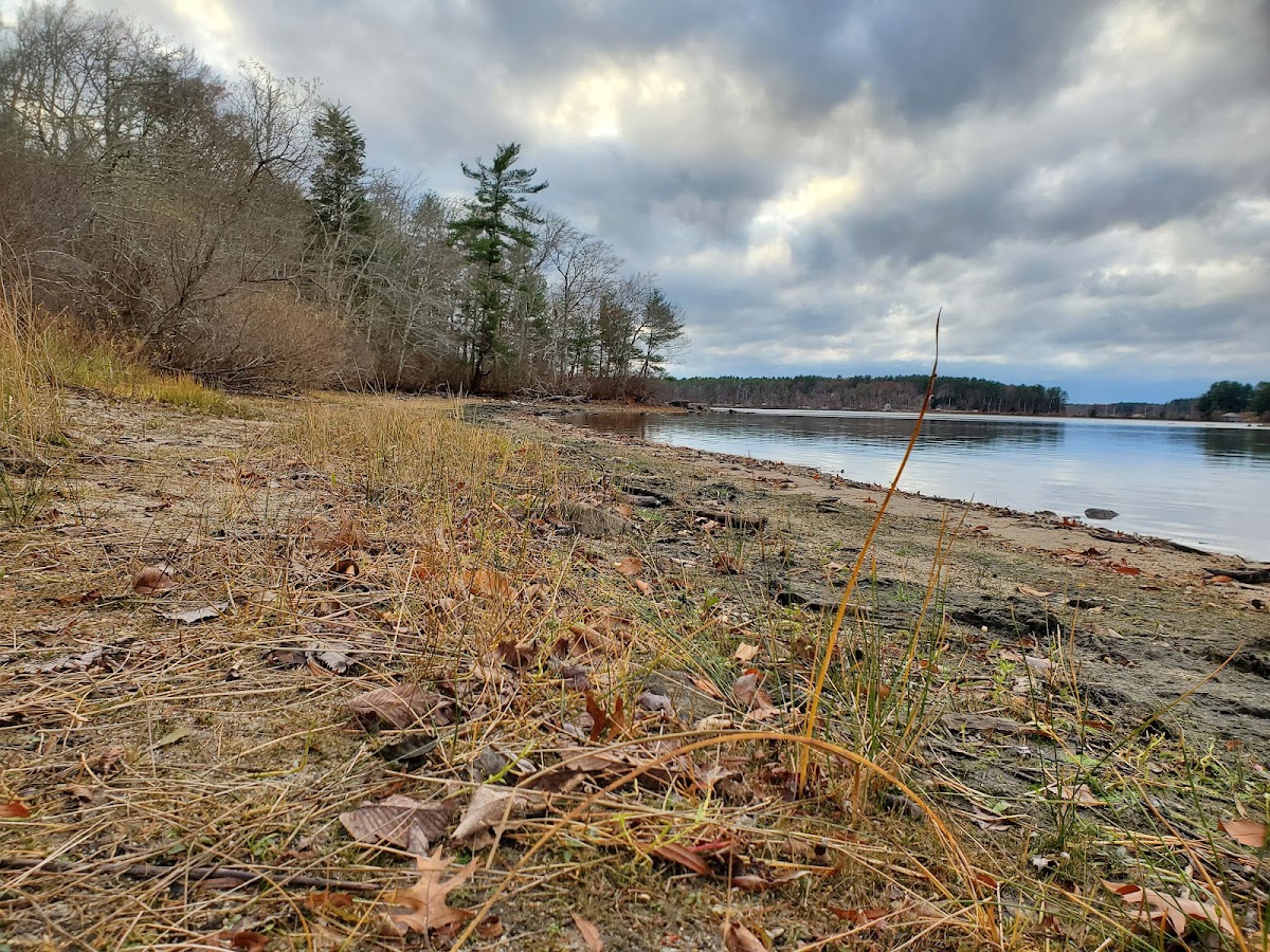 Pocksha Pond