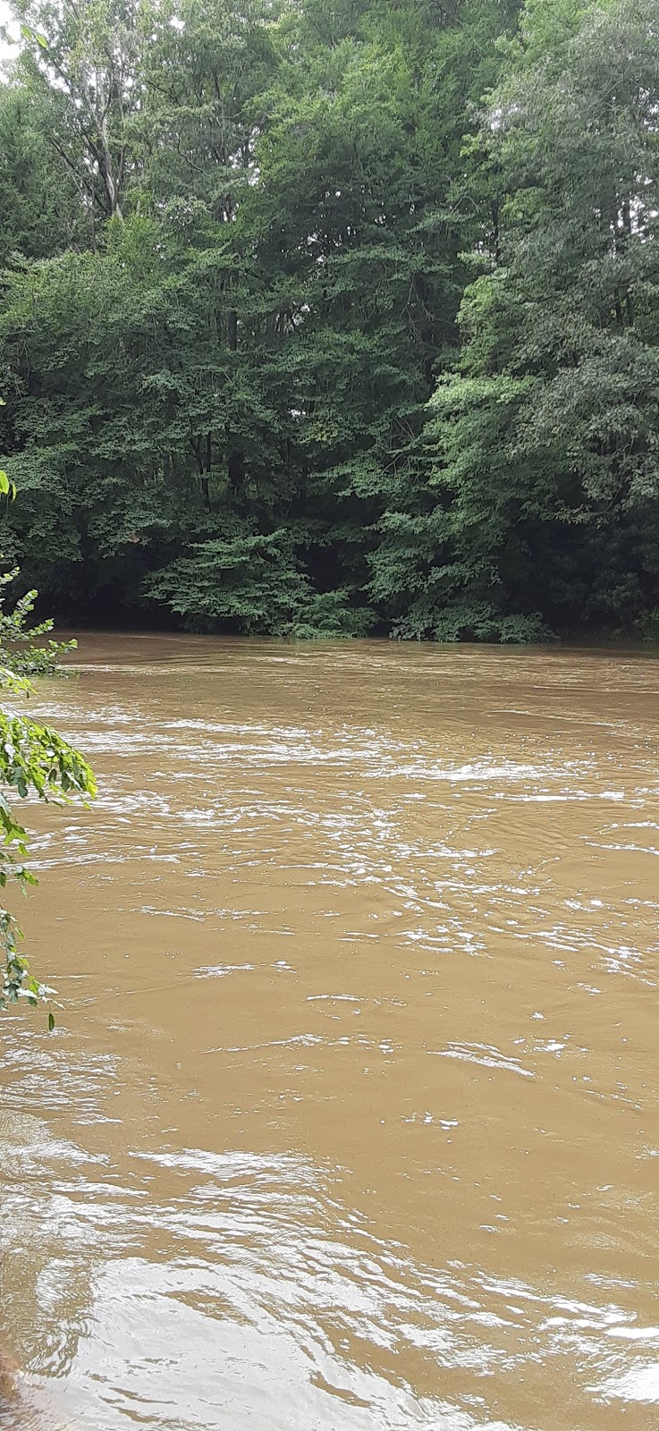Middle Fork River