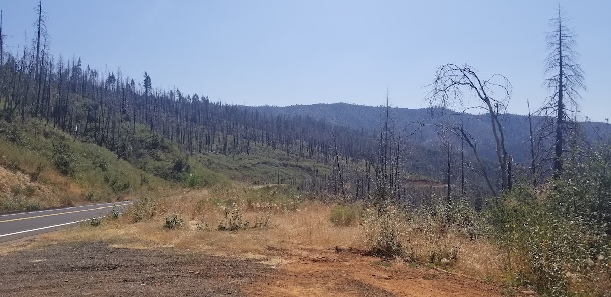 South Fork Tuolumne River