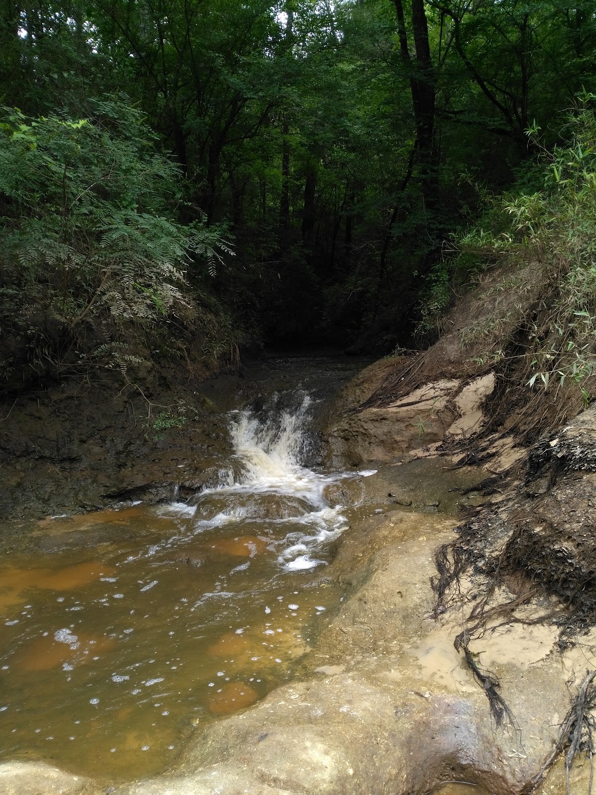 Sepulga River