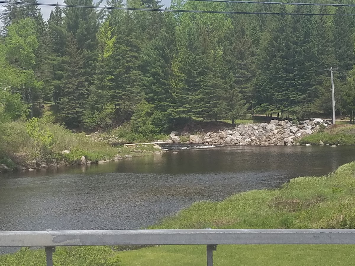 Cedar River