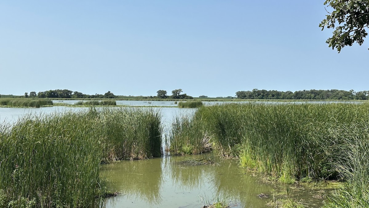 Cheever Lake Wildlife Management Area