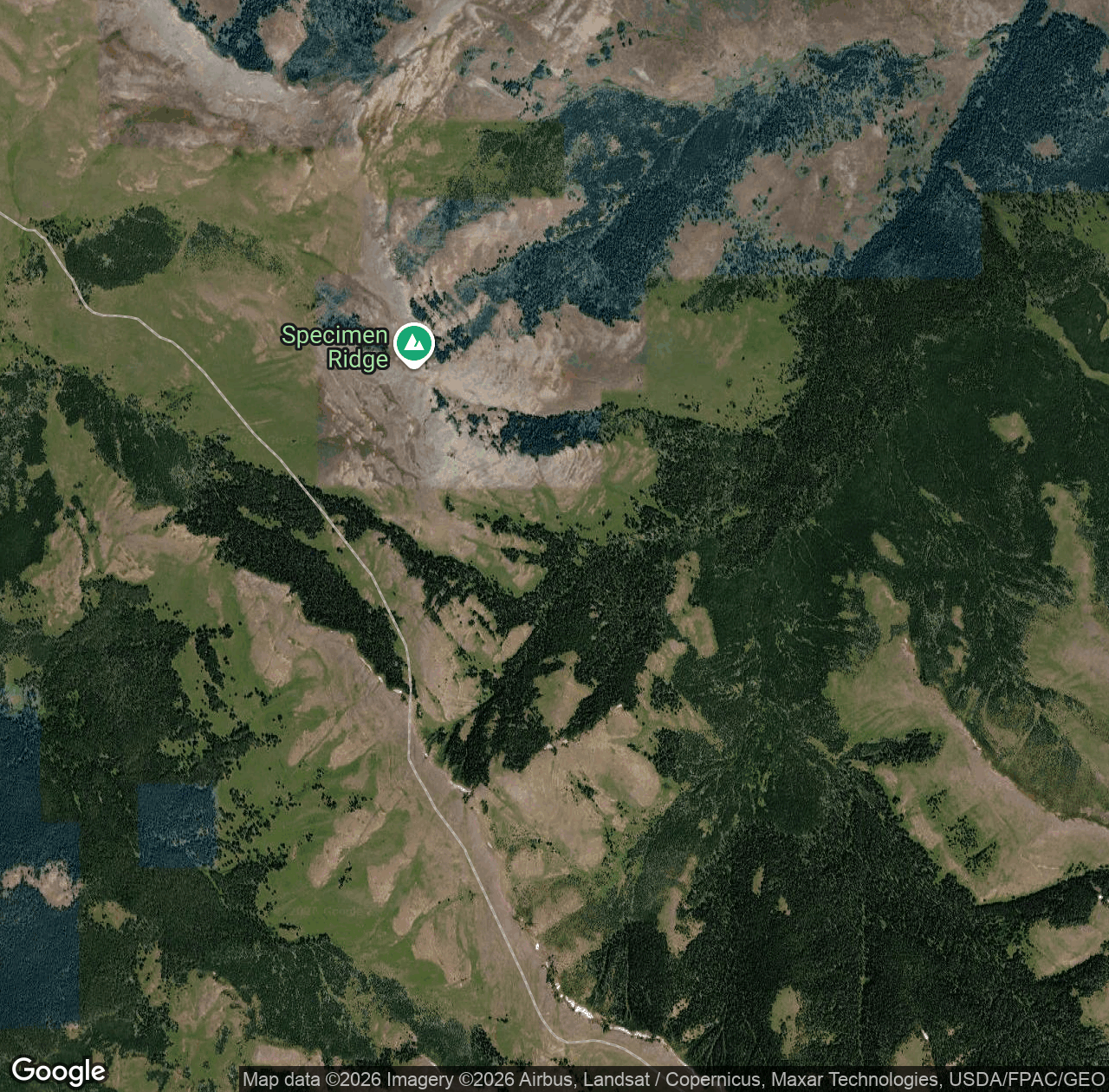 Specimen Ridge Trail