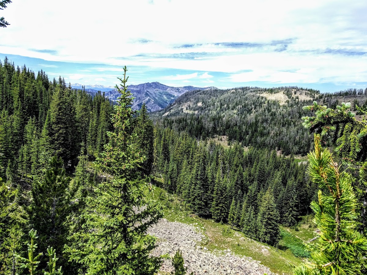 Specimen Creek