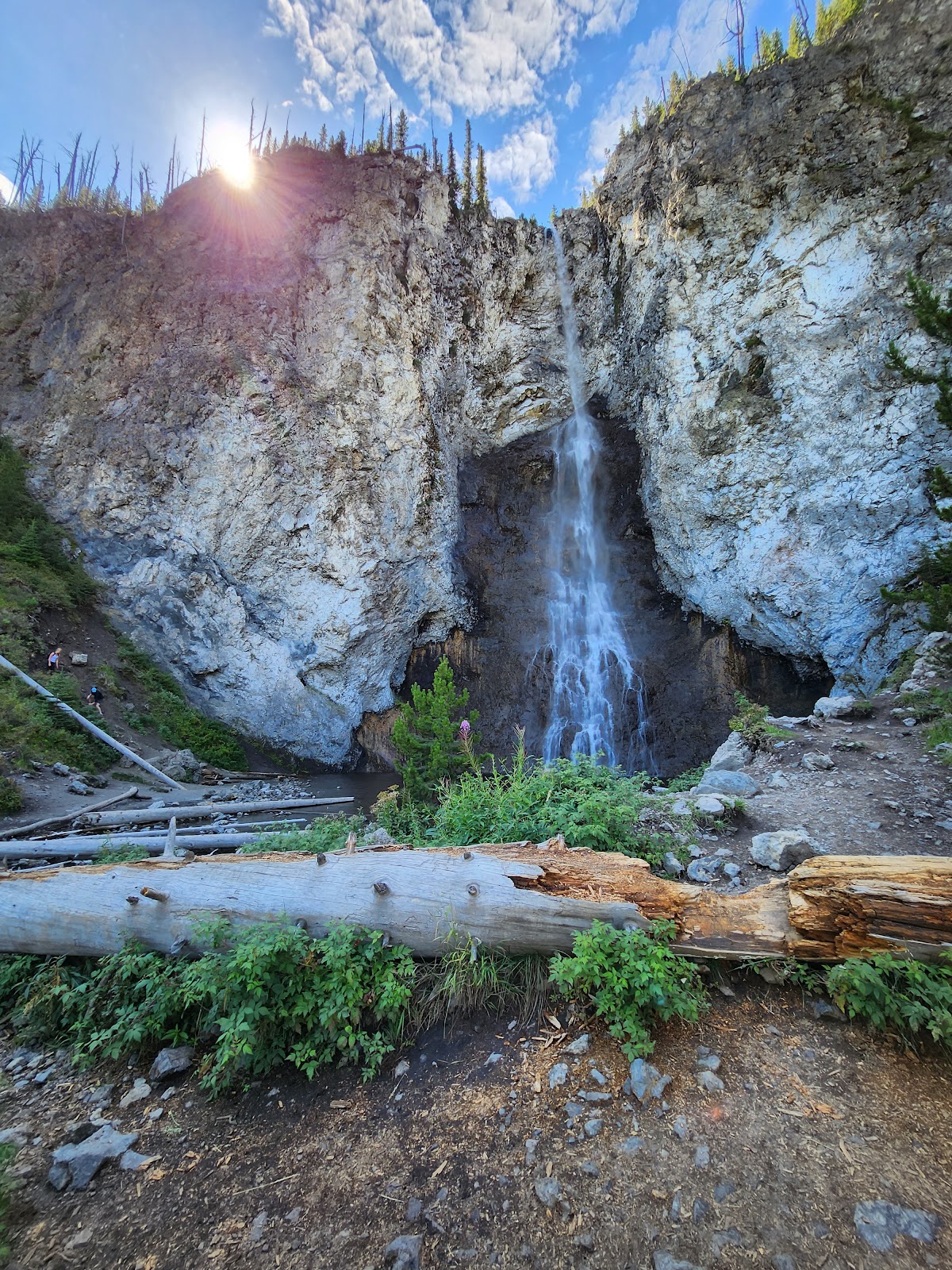 Fairy Creek Trail