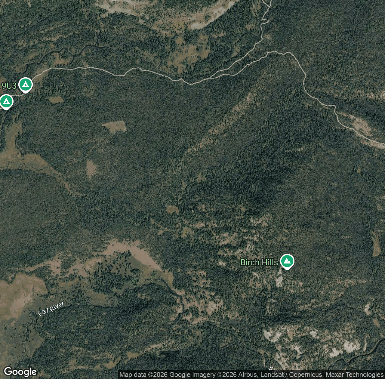 Mountain Ash Creek