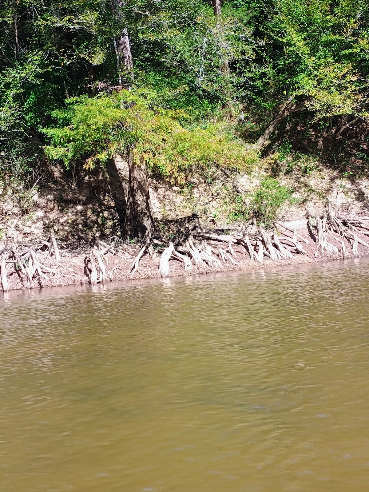 Pea River