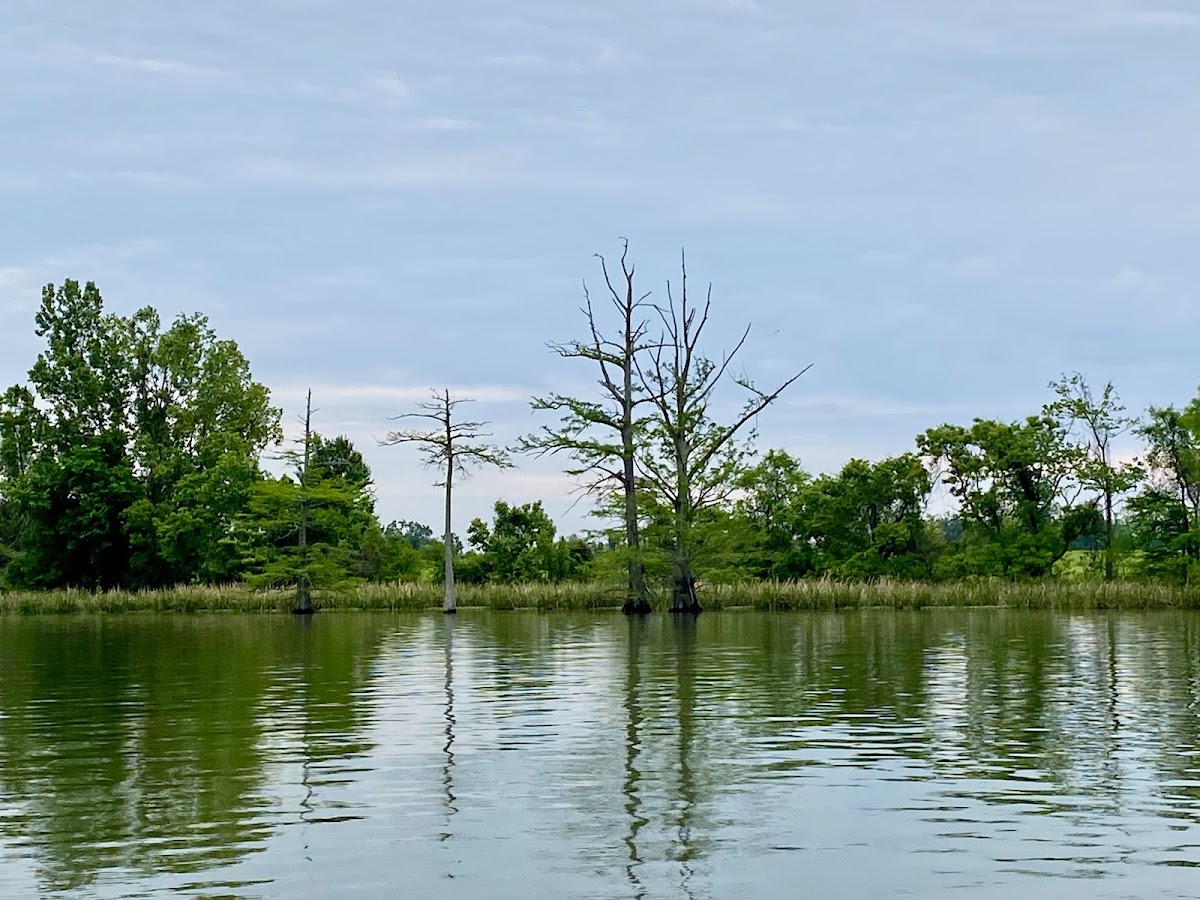 Lake Concordia