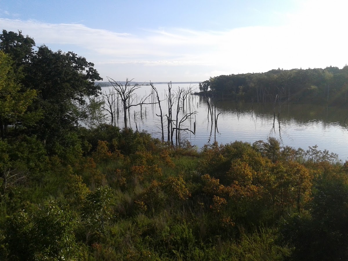 Arcadia Conservation Education Area