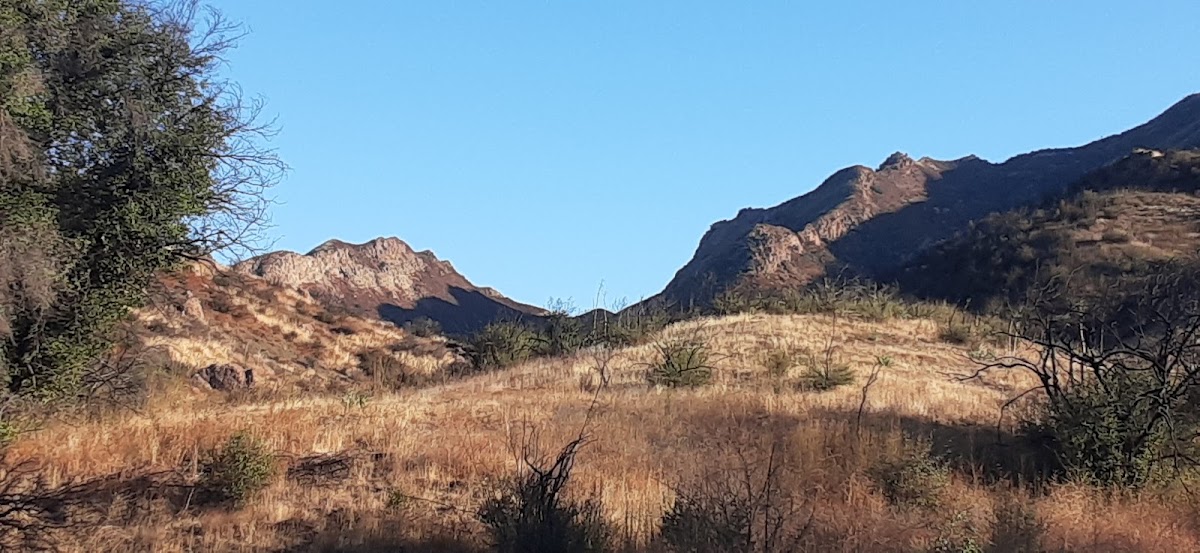New Millennium Loop Trail
