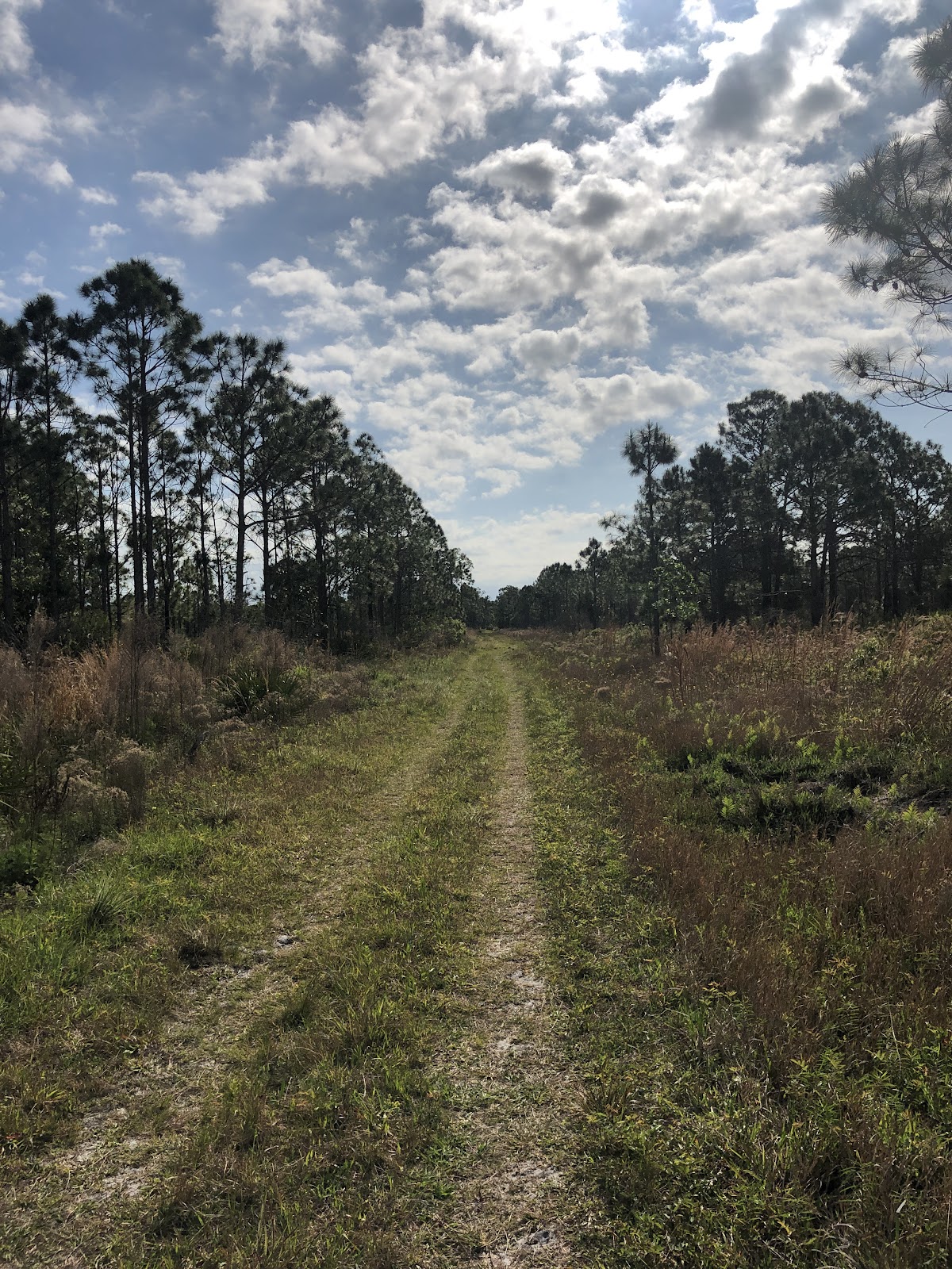 Red Trail