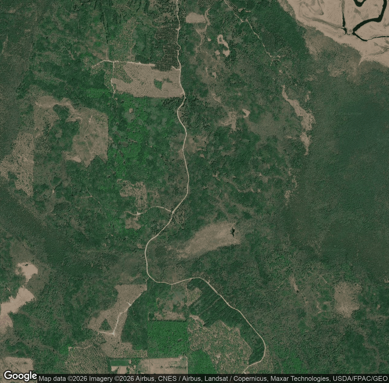 Forest Rte 2679
