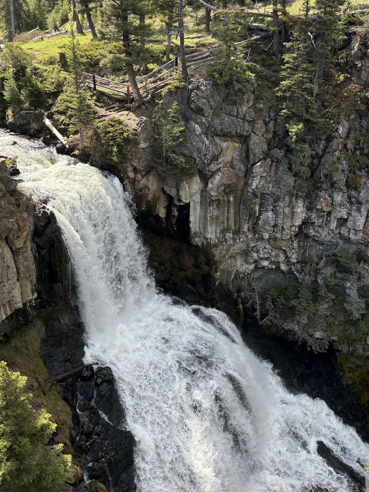Lava Creek Trail
