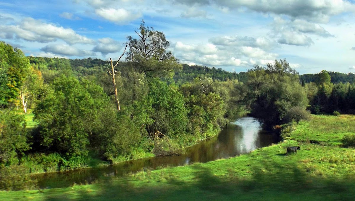 Tomifobia River