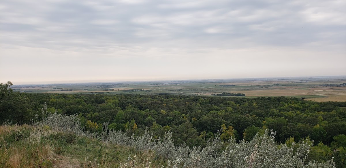 Turtle Mountain State Recreational Forest