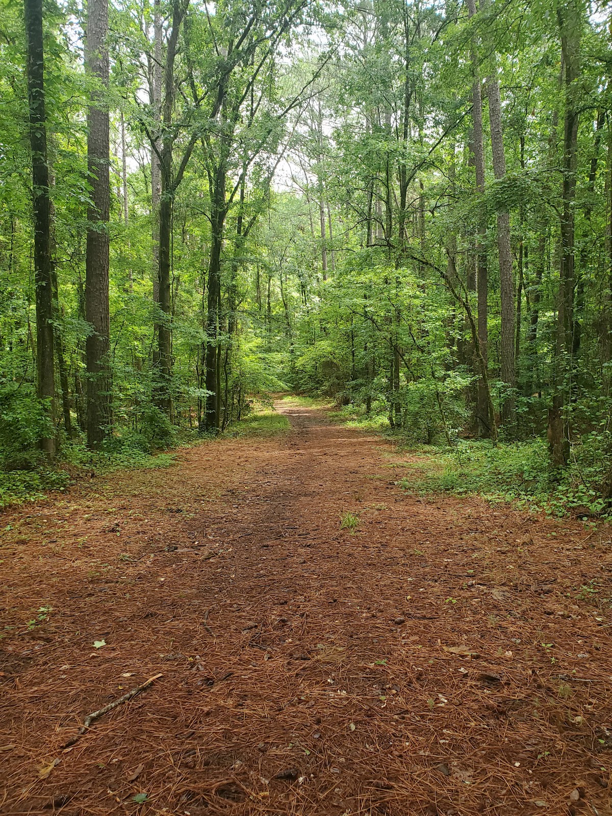 Lost Cemetery Road Trail