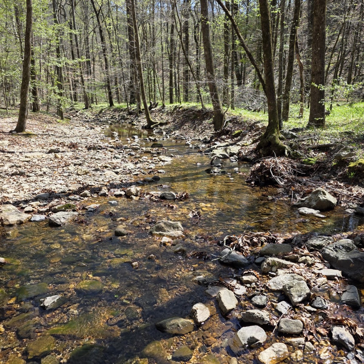 Caney Creek Trail