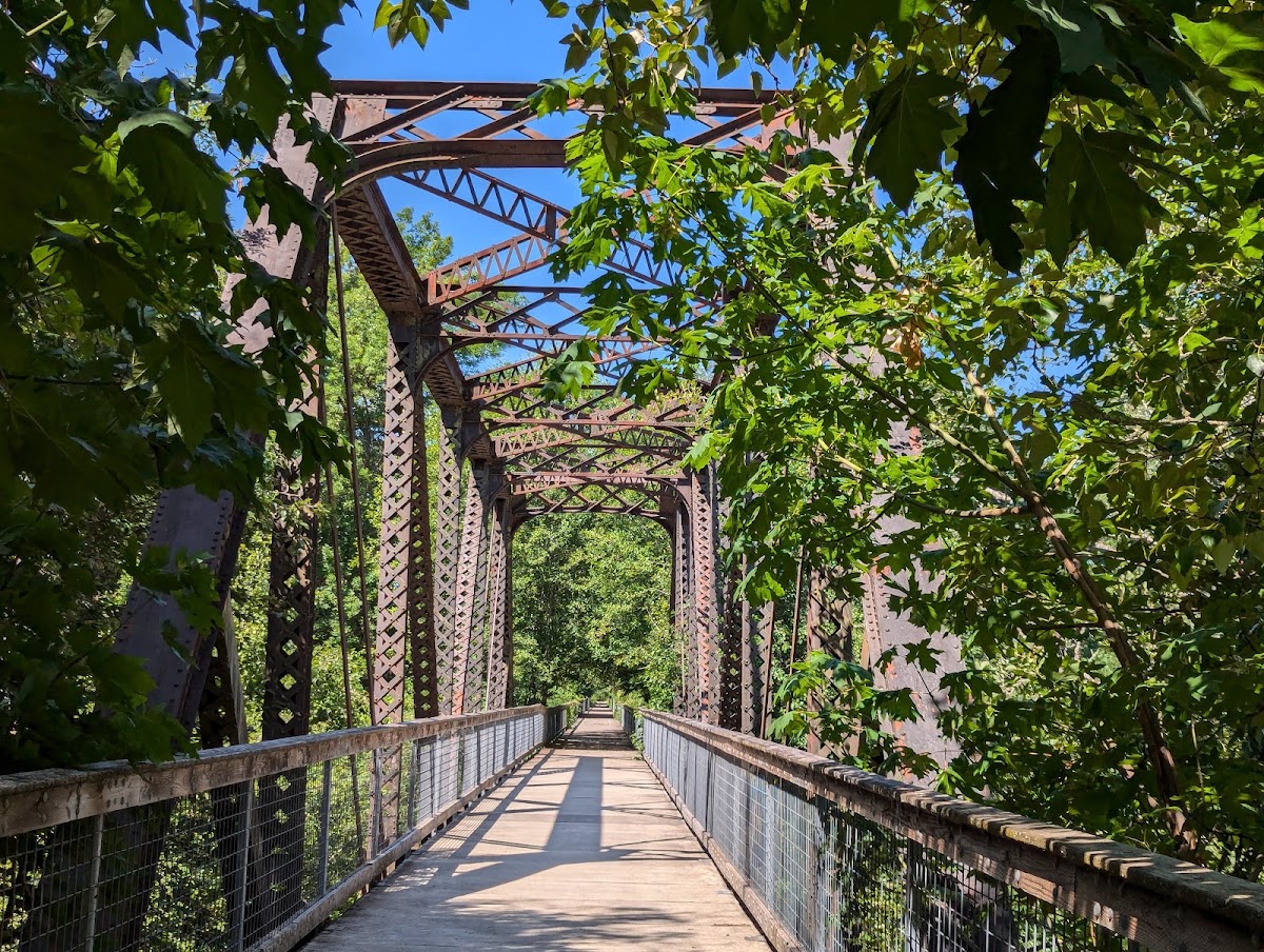 Willapa Hills State Park Trail