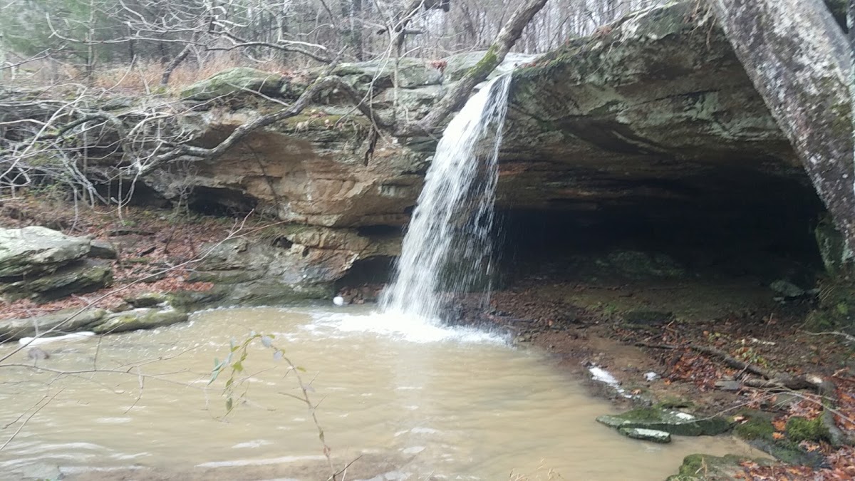 Red Cedar Trail